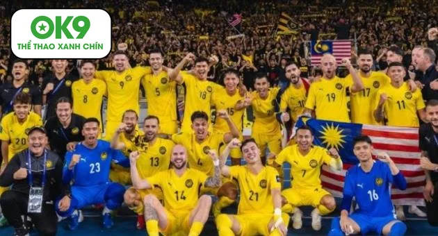 Cầu thủ nhập tịch Malaysia dùng hồ sơ giả: FIFA yêu cầu điều tra hình sự.