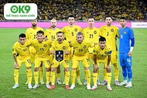 fifa bac on khang cao malaysia vu gian lan nhap ti