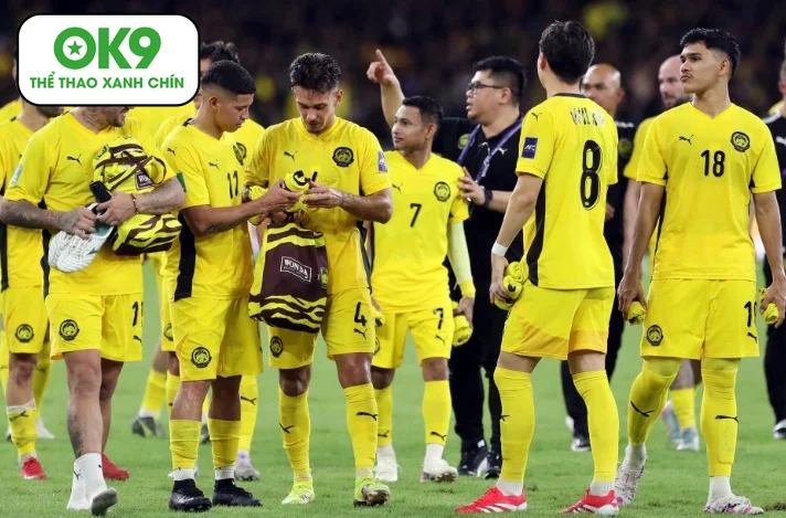 fifa phoi bay be boi gia mao ho so cau thu nhap ti